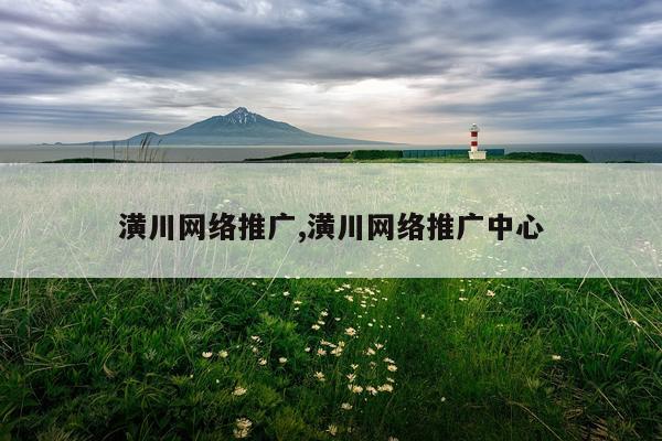 潢川网络推广,潢川网络推广中心
