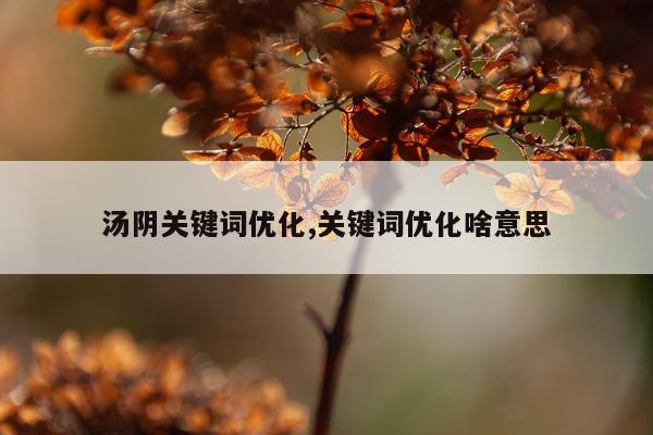 汤阴关键词优化,关键词优化啥意思