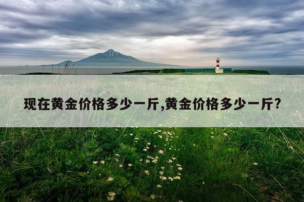 现在黄金价格多少一斤,黄金价格多少一斤?