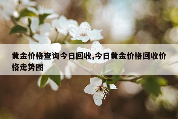 黄金价格查询今日回收,今日黄金价格回收价格走势图