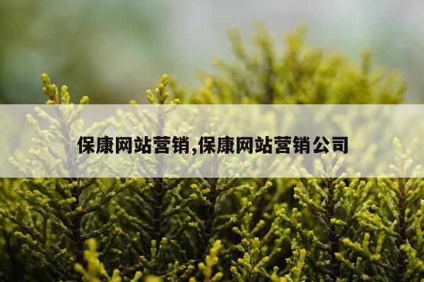 保康网站营销,保康网站营销公司