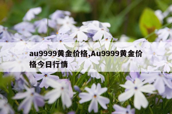 au9999黄金价格,Au9999黄金价格今日行情