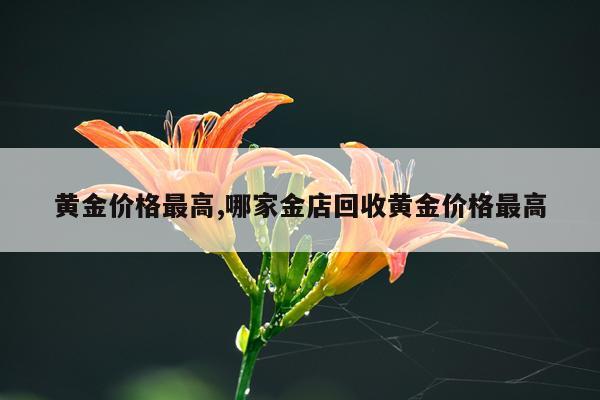 黄金价格最高,哪家金店回收黄金价格最高