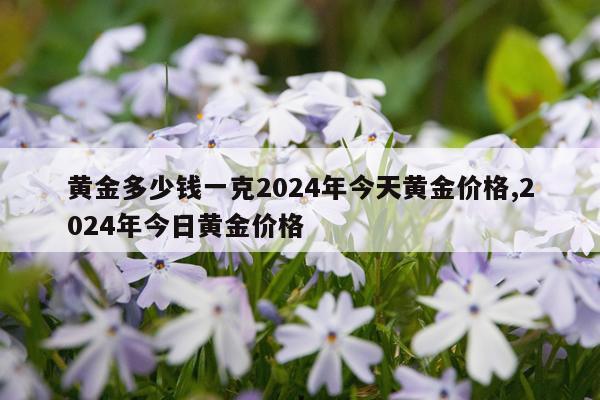 黄金多少钱一克2024年今天黄金价格,2024年今日黄金价格