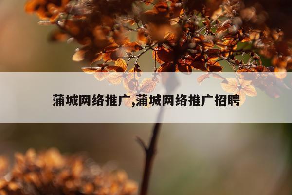 蒲城网络推广,蒲城网络推广招聘