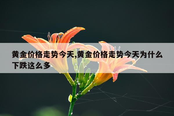 黄金价格走势今天,黄金价格走势今天为什么下跌这么多