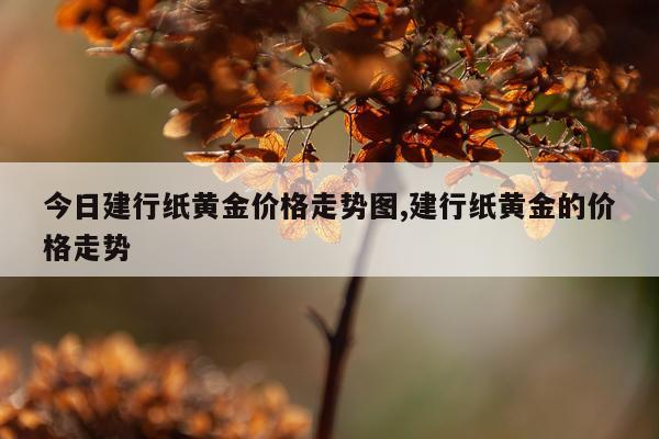 今日建行纸黄金价格走势图,建行纸黄金的价格走势