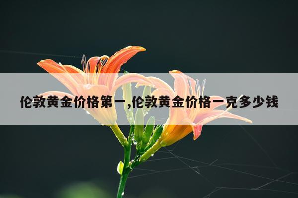 伦敦黄金价格第一,伦敦黄金价格一克多少钱