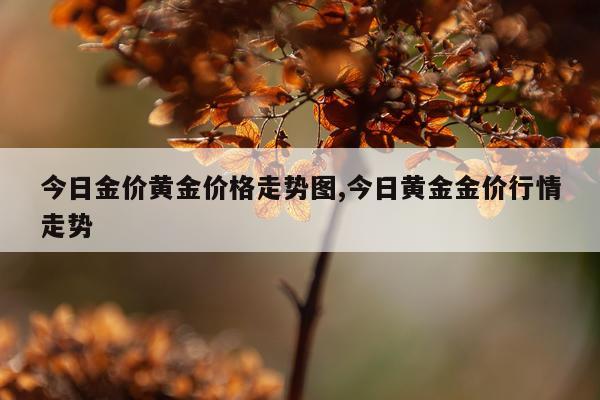 今日金价黄金价格走势图,今日黄金金价行情走势