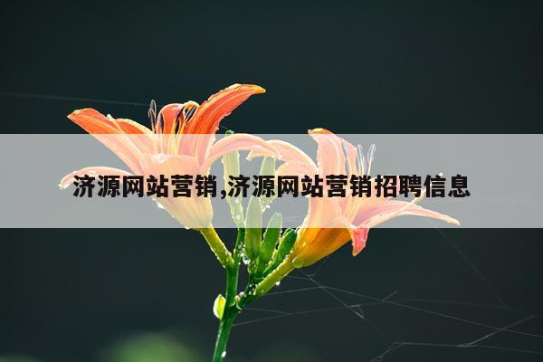 济源网站营销,济源网站营销招聘信息