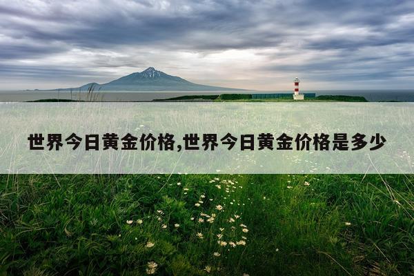 世界今日黄金价格,世界今日黄金价格是多少