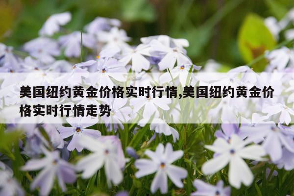 美国纽约黄金价格实时行情,美国纽约黄金价格实时行情走势