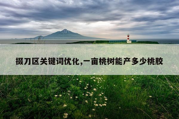 掇刀区关键词优化,一亩桃树能产多少桃胶