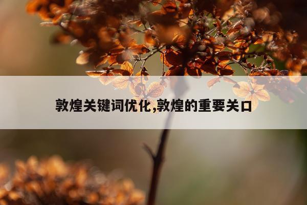 敦煌关键词优化,敦煌的重要关口