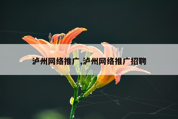 泸州网络推广,泸州网络推广招聘