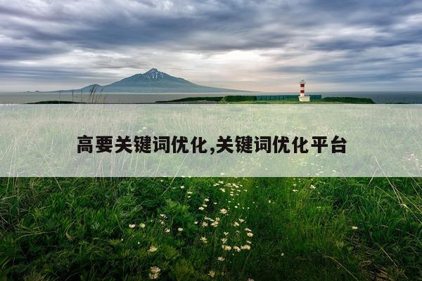 高要关键词优化,关键词优化平台