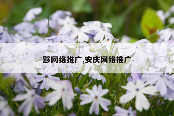 黟网络推广,安庆网络推广