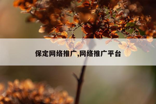 保定网络推广,网络推广平台