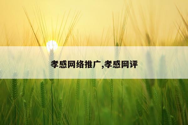 孝感网络推广,孝感网评