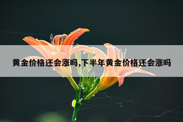 黄金价格还会涨吗,下半年黄金价格还会涨吗
