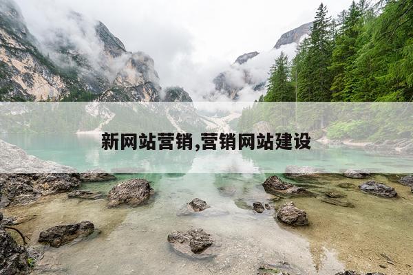 新网站营销,营销网站建设