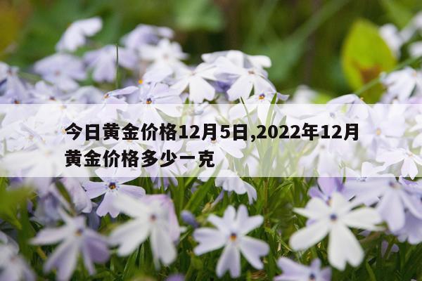 今日黄金价格12月5日,2022年12月黄金价格多少一克