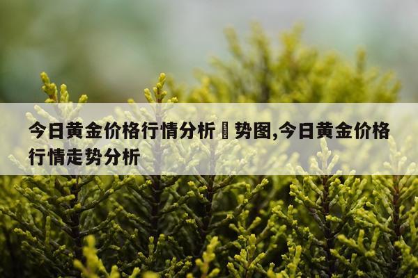 今日黄金价格行情分析歨势图,今日黄金价格行情走势分析