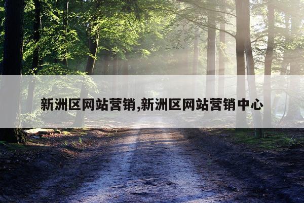 新洲区网站营销,新洲区网站营销中心