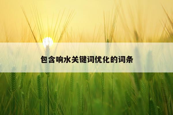 包含响水关键词优化的词条
