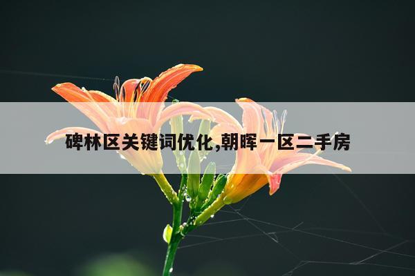 碑林区关键词优化,朝晖一区二手房
