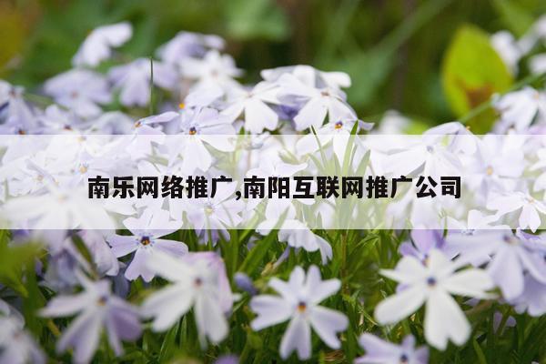 南乐网络推广,南阳互联网推广公司