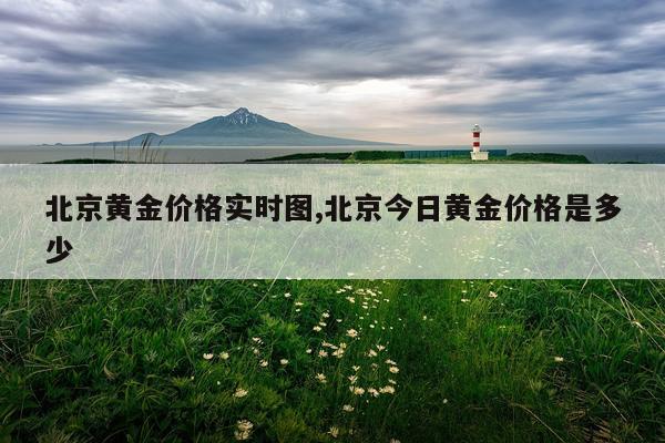 北京黄金价格实时图,北京今日黄金价格是多少