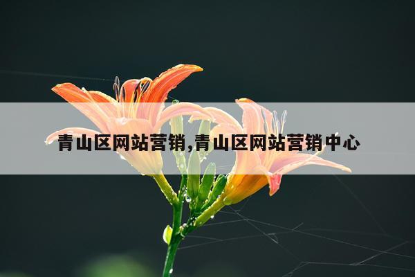 青山区网站营销,青山区网站营销中心
