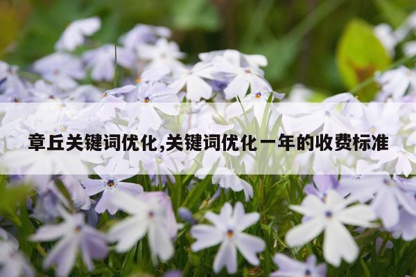 章丘关键词优化,关键词优化一年的收费标准