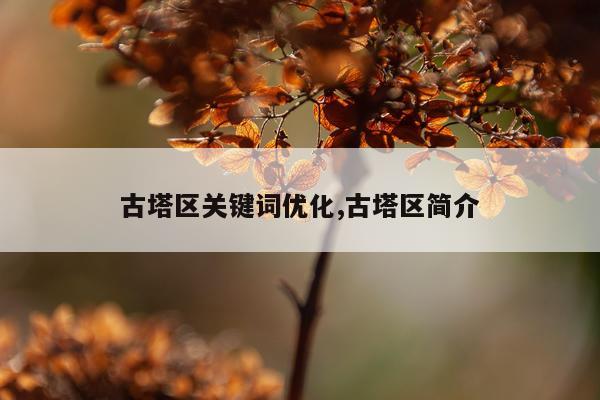 古塔区关键词优化,古塔区简介