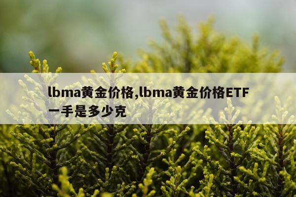 lbma黄金价格,lbma黄金价格ETF一手是多少克