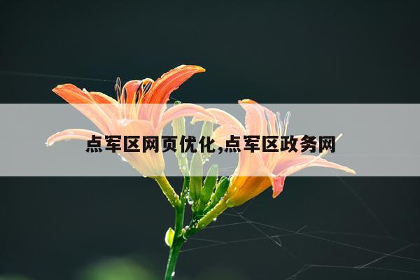 点军区网页优化,点军区政务网