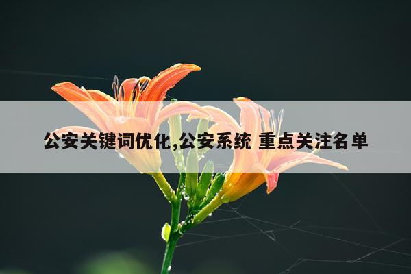 公安关键词优化,公安系统 重点关注名单