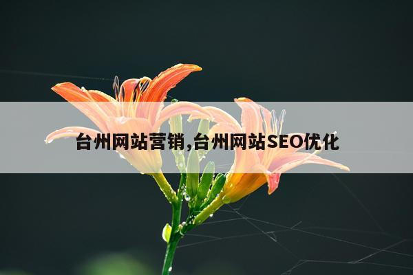 台州网站营销,台州网站SEO优化