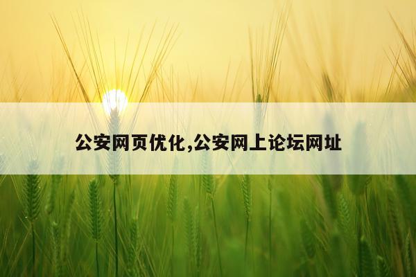 公安网页优化,公安网上论坛网址