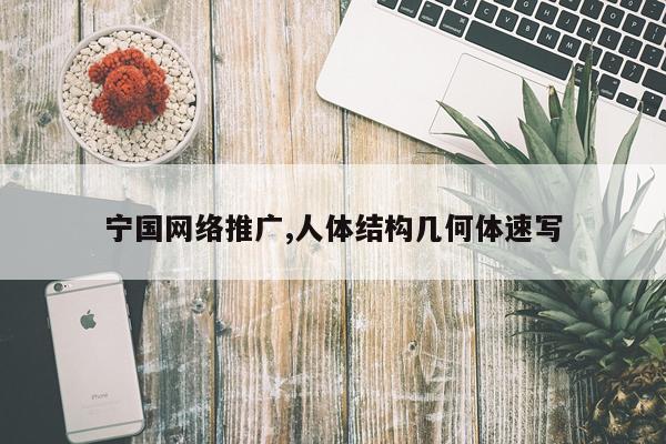 宁国网络推广,人体结构几何体速写
