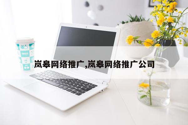 岚皋网络推广,岚皋网络推广公司