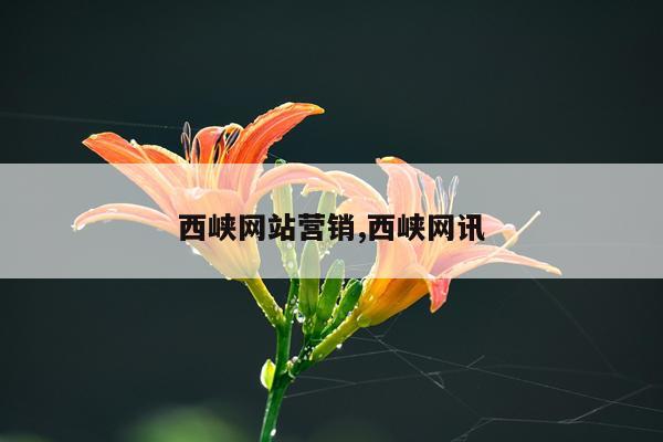 西峡网站营销,西峡网讯