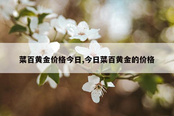 菜百黄金价格今日,今日菜百黄金的价格