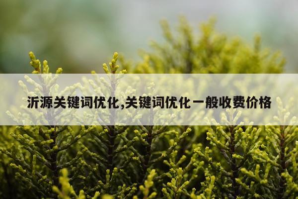 沂源关键词优化,关键词优化一般收费价格