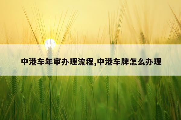 中港车年审办理流程,中港车牌怎么办理