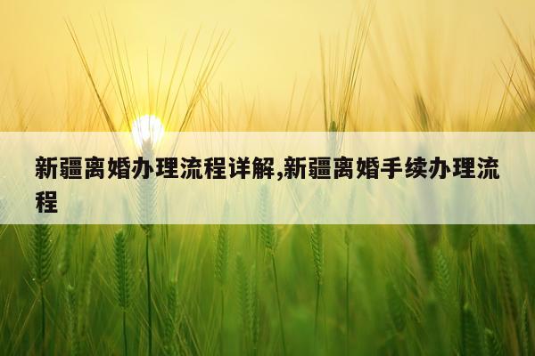 新疆离婚办理流程详解,新疆离婚手续办理流程