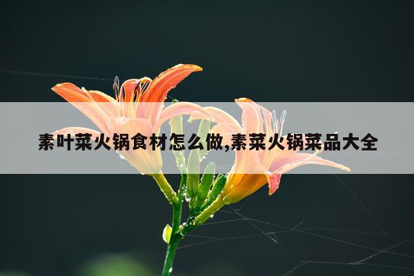 素叶菜火锅食材怎么做,素菜火锅菜品大全
