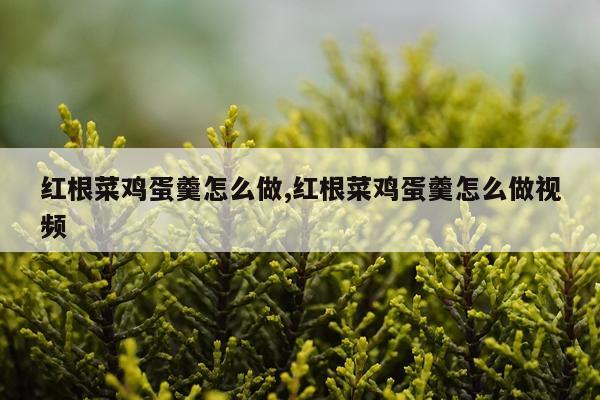 红根菜鸡蛋羹怎么做,红根菜鸡蛋羹怎么做视频