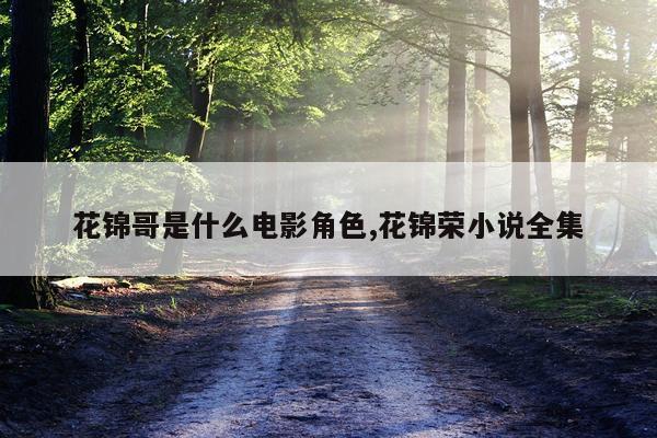 花锦哥是什么电影角色,花锦荣小说全集